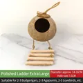 Extra large natural coconut shell bird nest with a wooden rope ladder for parrots - Extra Large Polished With Ladder