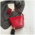 Detailed macro view of red crocodile-patterned bucket bag leather texture and metal rivets - Red