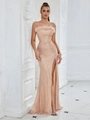 Dettaglio dell'abito da sera in oro rosa con paillettes e bordo in piume di lusso - XS / Albicocca