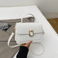 Detail of white lychee pattern small square bag with polished golden U-shaped lock - White