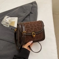 Chic leopard print crossbody bag with dark brown leather and golden buckle finish - Brown