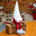 Close-up van een kerstgnome met een witte pluchen muts en een rood gebreid lichaam - Boys / Rood