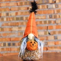 Halloween gnome plush with orange plaid hat and small pumpkin detail on wooden table - 52142 Female