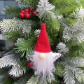 Dettaglio di uno gnomo di Natale festivo appeso a un ramo di un albero di Natale - Ciondolo Stella Rossa