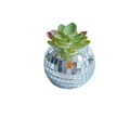 Disco ball mirror planter with artificial succulent plant for creative home decoration - Mirror Succulent Potted Style 5 (CY 070301)