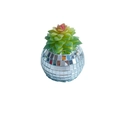 Disco ball mirror mosaic planter with artificial succulent plant for home decor - Mirror Succulent Potted Style 7 (CY 070301)
