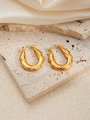 Detailed macro view of gold-tone titanium earrings with unique twisted shell texture details - 3D Twisted Leaf Texture Style (BJGE0242)