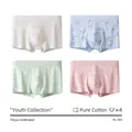 Pack de 4 bóxers de algodón para jóvenes en blanco, azul, verde y rosa con estampado ACE - M / Estilo de Letra ACE (AL503)