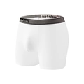 White milk silk boxer briefs for men featuring a black striped elastic waistband - S / White