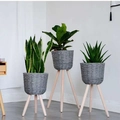 Three-piece set of gray woven planters with light wooden tripods in small, medium, and large - Raffia Gray Small Medium Large