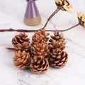 Set di pigne naturali per decorazioni natalizie su sfondo di marmo bianco con vaso - 4-5CM (kg)