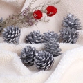 Pigne naturali argentate su tessuto di lana bianca per decorazioni natalizie DIY - Argento / 3-4cm