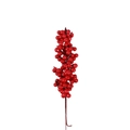 Einzelner Stiel mit realistischen roten Weihnachtsbeeren für DIY Heim- und Hochzeitsdeko - Einzelner Zweig / Rot