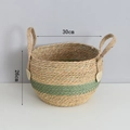 Handwoven seagrass plant basket with handles and green accents, 30cm diameter size - Medium (30x26cm) / Green Patchwork (Bellied Style)