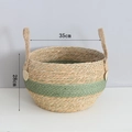 Handwoven seagrass plant basket with green stripe and handles, 35x28cm size - Large (35x28cm) / Green Patchwork (Bellied Style)