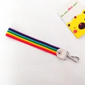 Detail van de regenboog nylon riem met wit lederen uiteinde en zilveren metalen haak - Wit Goud Sluiting