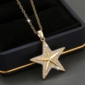 Collana con ciondolo a stella placcata oro 14K con zirconi micro-incastonati su velluto - Oro