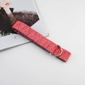 Rosaroter Nylon-Canvas-Gürtel mit Doppel-D-Ring-Schnalle und buntem Webmuster - Roter Gemischter Streifen