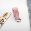 Rosafarbener Canvas-Gürtel mit Gänseblümchen-Print, D-Ring-Metallschnalle und Web-Detail - Basis Gänseblümchen-Stil / Rosa