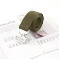 Macro shot of olive green nylon tactical belt with silver metal quick-release buckle - Army Green