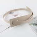 Dettaglio della cintura in pelle beige con motivo lychee e grande fibbia rettangolare rivestita - Albicocca