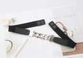 Detail of silver chain link buckle and black elastic waist belt for elegant dresses - 3CM Smooth Edge Chain (Silver)