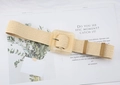 Detail van beige gevlochten stro riem met vierkante hars gesp en metalen pin - Wit