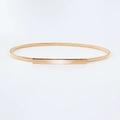 Detail eines eleganten goldenen elastischen Metallgürtels mit polierter Frontplatte - Gold Lang