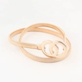 Detaillierte Makroansicht des goldenen Stretchgürtels mit ineinandergreifender O-Ring-Schließe - Gold-Doppelring-Stil (HYY19079)