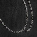 Detailweergave van zilveren beervormige metalen schakels aan een stijlvolle tailleketting - Zilveren Beer (Gestreepte Flespompoen)