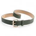 Retro dark green snake pattern PU leather belt with golden oval buckle for women - Green