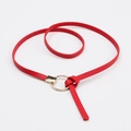 Eleganter roter Ledergürtel mit goldener Rundschnalle für Damenkleider - Rot