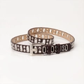 Dunkelbrauner Ledergürtel im Punk-Stil mit silbernen Metallösen und quadratischer Schnalle - Kaffeebraun
