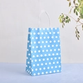 Sac cadeau en papier bleu ciel à pois blancs avec poignées en papier pour emballage - Bleu