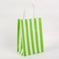 Eco-friendly green and white striped kraft paper gift bag with white twisted handles - Vertical Stripe Green / H21*L15*W8