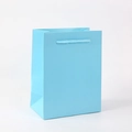 Vertical light blue paper gift bag with woven handles on plain white background - Light Blue