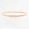 Eleganter goldener Minimalistischer Federgürtel mit polierter rechteckiger Schnalle - Gold Kurz