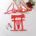 Détails macro d'un ensemble de lingerie en dentelle rouge brodée avec porte-jarretelles - S / Rouge
