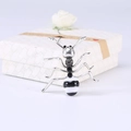 Macro detail of silver ant brooch with black rhinestones on a white gift box - White Black