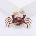Detailopname van een krabbroch met gouden legering frame en amberkleurig emaille schaal - Bruin