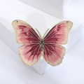 Détail macro de broche papillon en émail avec ailes dégradées rouges et bords dorés - Rouge