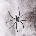 Realistische zwarte spin op wit spinnenweb voor griezelige Halloween decoratieset - Wit 20g (Inclusief 2 Spinnen)