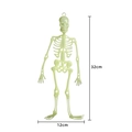 Lichtgevende Halloween skelet hangdecoratie 32cm glow in the dark feest decoratie - Fluorescerend Skelet / 32cm