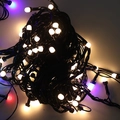 Warm white and multi-colored LED fairy lights with black wire for Christmas decoration - Warm White (Black Wire)