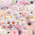 Nahaufnahme verschiedener rosa PET-Blumenaufkleber mit Rosen und Lilien in Pastelltönen - 粉色花朵包
