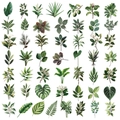 Vista macro dettagliata di 50 adesivi botanici in PET impermeabili per scrapbooking e DIY - Stile Foglie Verdi 2 (SLP049)