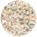 Vista detallada de 50 pegatinas de sobre PET vintage con motivos de fauna y flora - Paquete de Pegatinas PET de Sobre Vintage