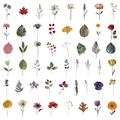 Makro-Anzeige von 50 Vintage-Pflanzenaufklebern mit Rosen und Lilien für DIY-Dekorationen - Vintage Botanische Pflanzen PET Aufkleber Pack (50 Stk)