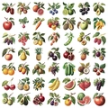 Griglia dettagliata di 49 adesivi vintage di frutta e verdura per diari fai-da-te - Adesivo in PET Frutta Vintage