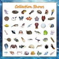 Detailed view of 49 unique waterproof ocean life stickers with realistic marine creatures - 50 Sheets/Pack